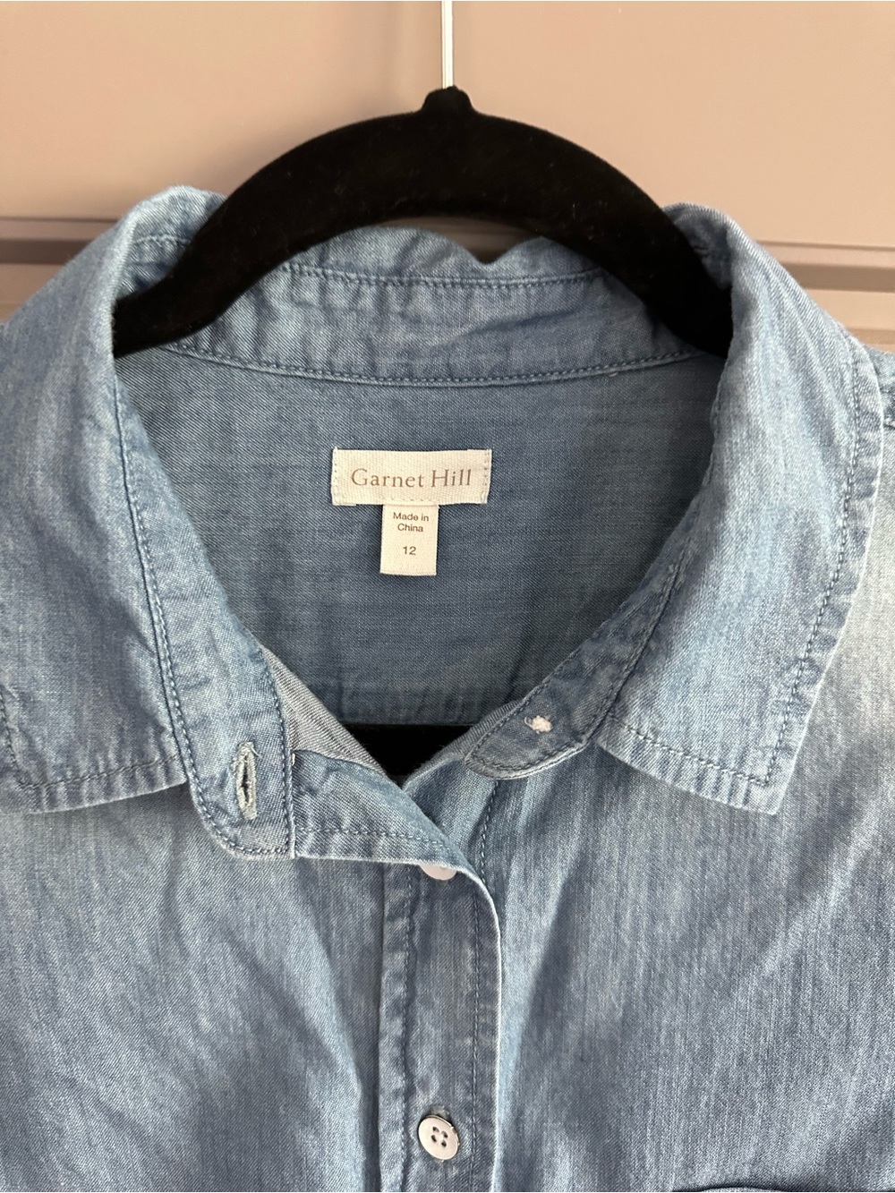 Garnet Hill Light Blue Denim Button-Down Shirt
